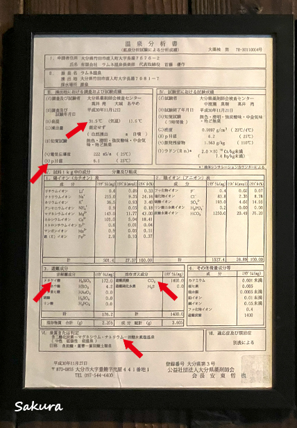 ラムネ温泉館_温泉分析書