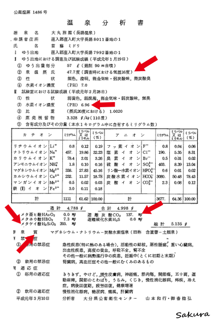 大丸旅館_温泉分析書