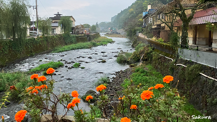 街の中心を流れる芹川
