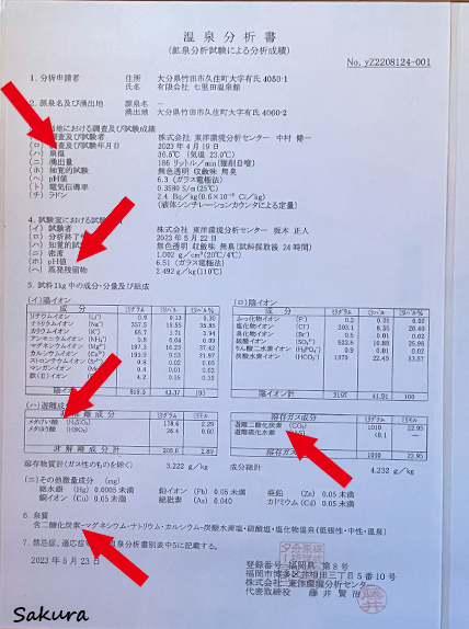 七里田温泉_下ん湯_温泉分析書