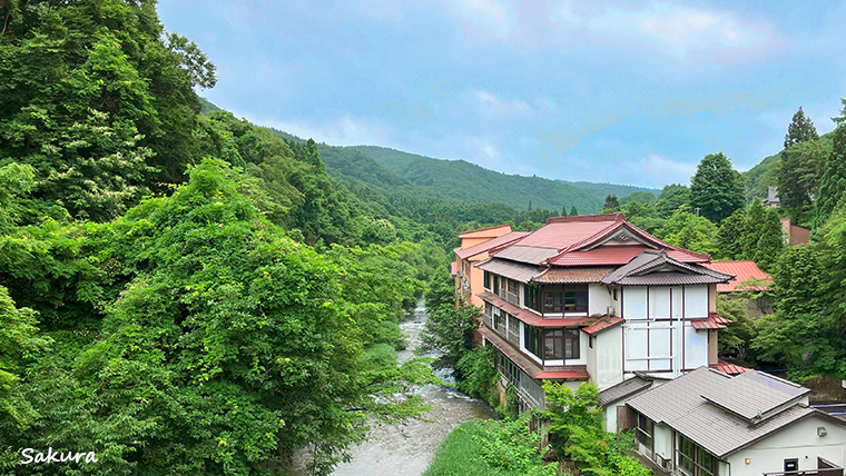 藤三旅館全景