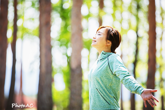 森林浴イメージ