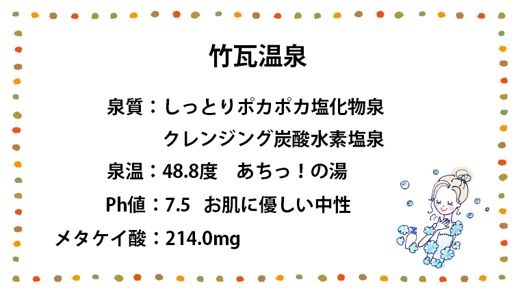 別府「竹瓦温泉」泉質について