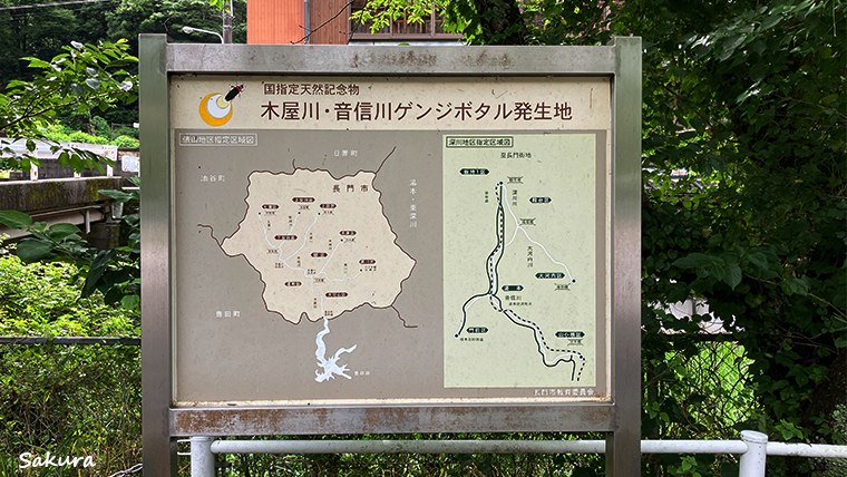 山口の名湯　俵山温泉はゲンジボタルの生息地でもあった